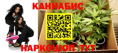 шишки Волжск