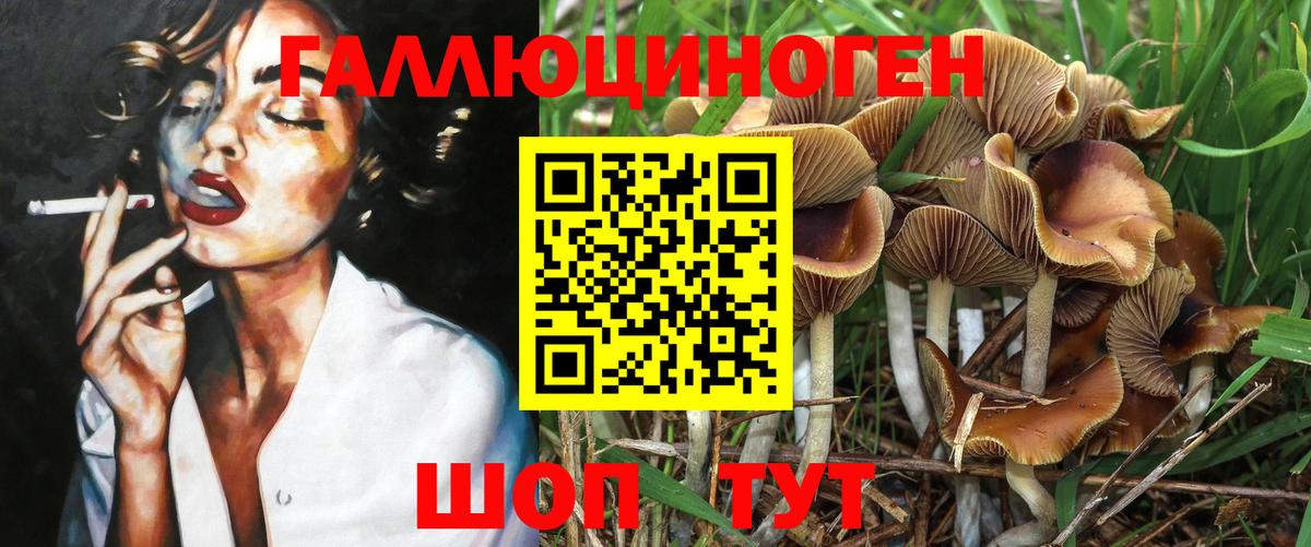 Псилоцибиновые грибы мухоморы Иркутск